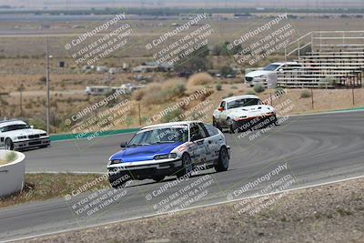 media/May-03-2025-Lucky Dog Racing (Sat) [[206de64b9d]]/Turn 4 B (1150am-130pm)/
